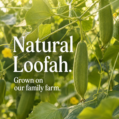 Loofah Soap Bar