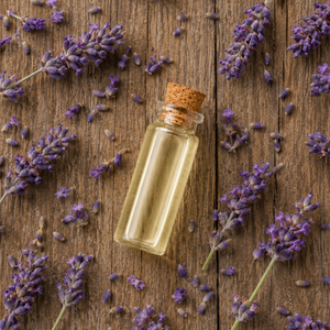 Lavender Essential Oil