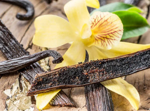 Organic Vanilla Essential Oil